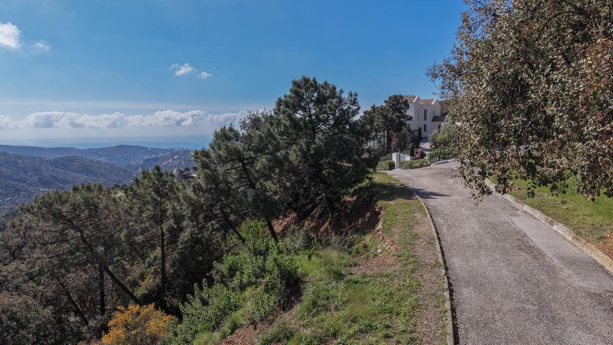 Teren excepțional de 2.296 m² în Monte Mayor